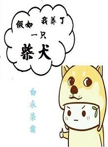 假如我养了一只柴犬
